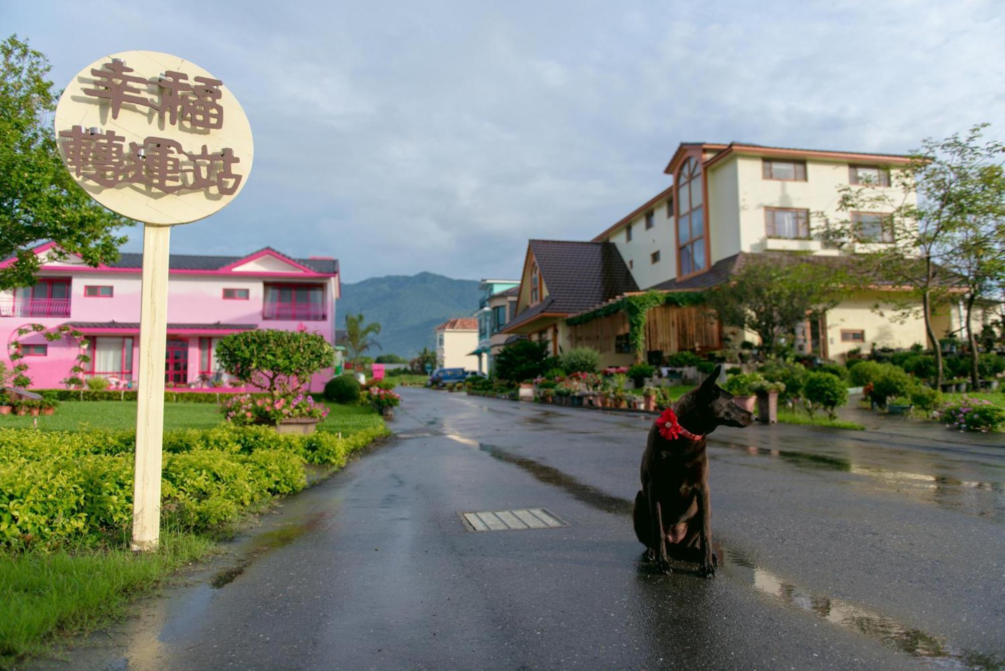 Taiping シン フー トラベラーズ インアパートメント エクステリア 写真